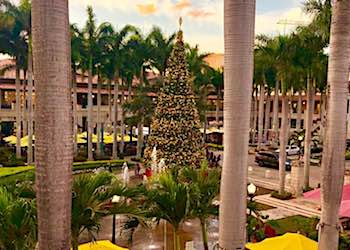 Christmas in Design District - Miami Photo Center
